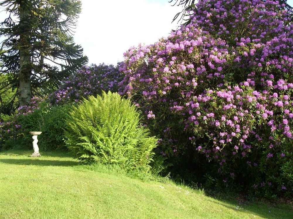 Moorlands Bed & Breakfast Parracombe Exterior photo